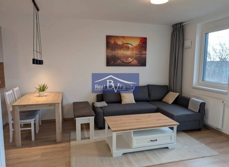 Wohnzimmer in einer 2-Zimmer-Wohnung mit einem bequemen Sofa und einem Esstisch.