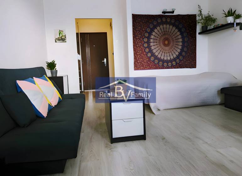Einzimmerwohnung mit Sofa, Bett, Bild an der Wand und Pflanzen auf dem Regal.