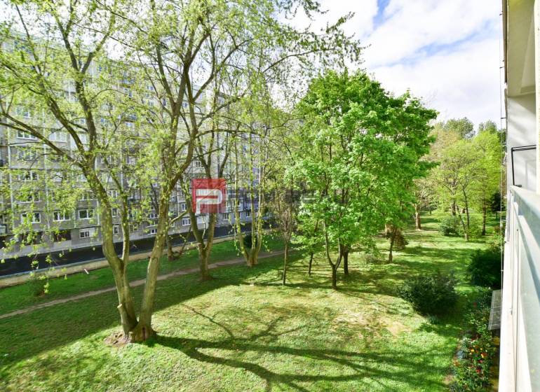 Blick aus einer 3-Zimmer-Wohnung auf einen grünen Park im Zentrum von Pezinok.