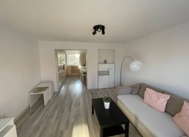 Wohnzimmer in einer Zweizimmerwohnung mit Sofa, Tisch und Zugang zur Küche.