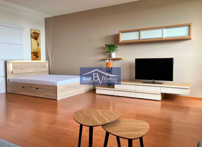 Einzimmerwohnung mit Bett, Fernseher, Möbeln und Wanddekoration.