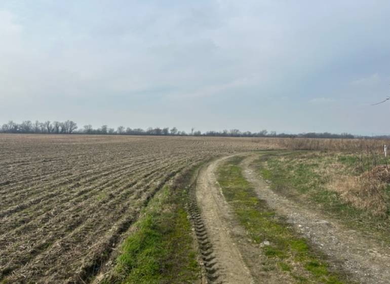 Landwirtschaftliche und forstwirtschaftliche Grundstücke in Zálesí an der Straße Domky mit einem Feldweg.