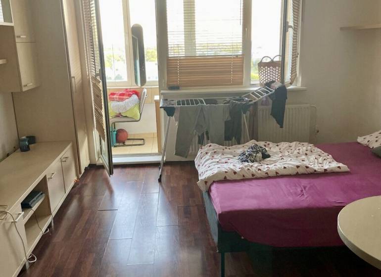 Einzimmerwohnung mit Bett, Einbauschrank und Balkon, heller Holzboden.