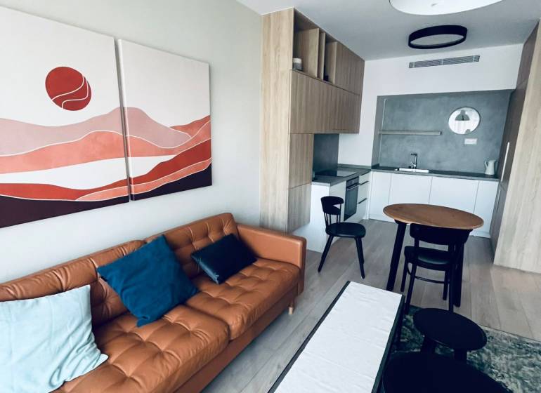 2-Zimmer-Wohnung mit Ledersofa, Kunstgemälde und Küche mit Esstisch.