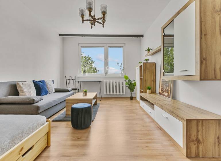 Wohnzimmer mit Sofa, Couchtisch und Schrank in einer Einzimmerwohnung.