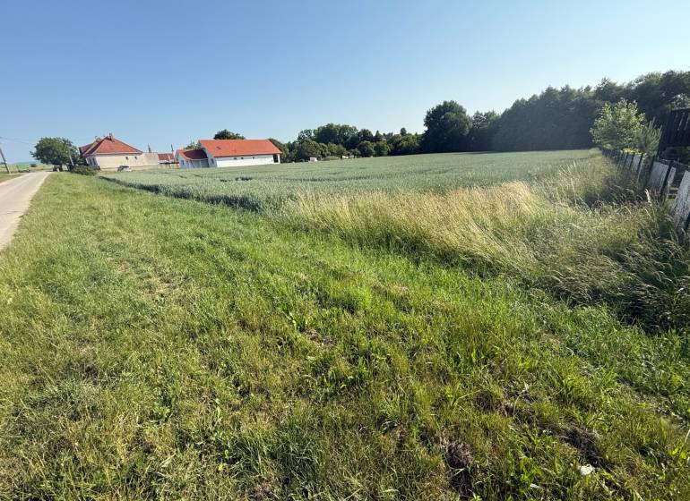 Grünlandflächen zum Wohnen in Bojná; Häuser, Felder und Straße neben dem Wald.