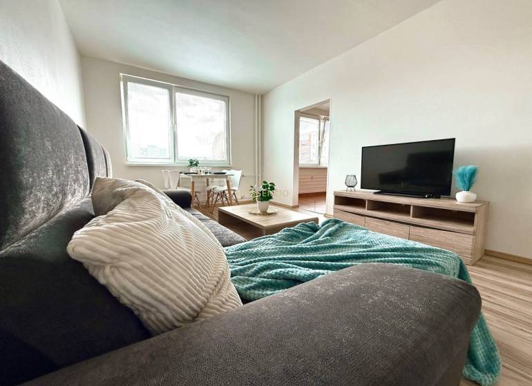 Gemütliches Wohnzimmer in einer 4-Zimmer-Wohnung mit Sofa, Tisch und Fernseher.