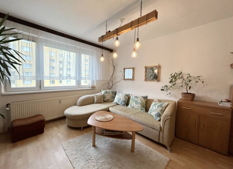 Wohnzimmer in einer Zweizimmerwohnung mit Sofa, Tisch und Pflanzen.