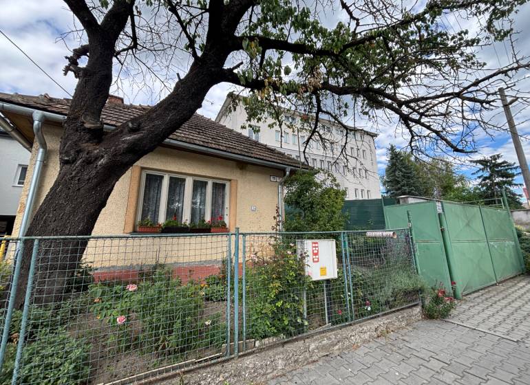 Ein Einfamilienhaus in Ilava mit einem Vorgarten und einem großen Baum neben dem Gehweg.