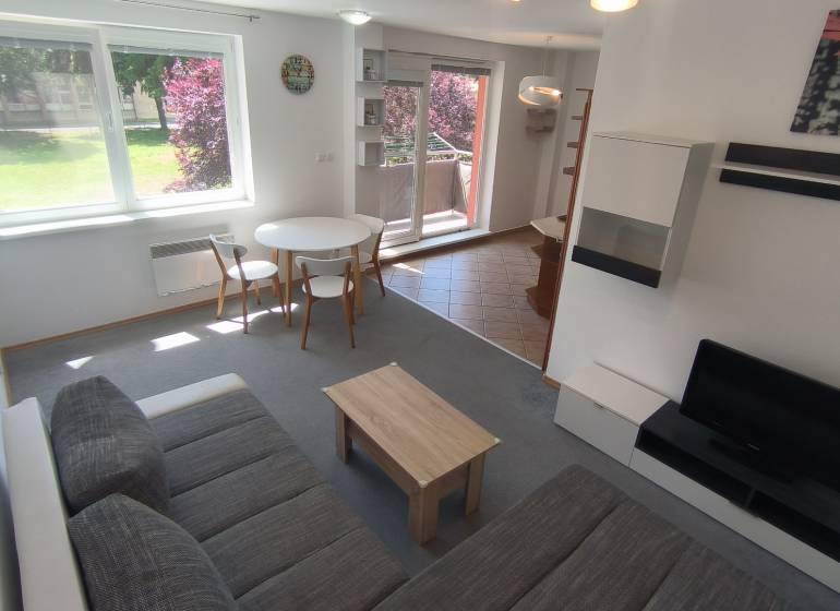 Wohnzimmer in einer Zweizimmerwohnung mit Sofa, Fernseher und Esstisch.