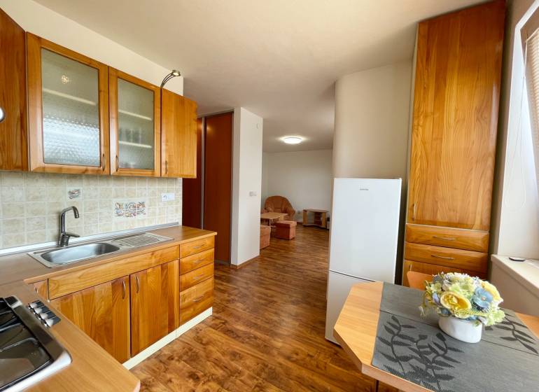 Holzküche mit Esstisch und Blick ins Wohnzimmer, 2-Zimmer-Wohnung.