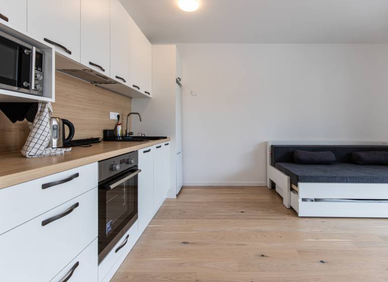 Küche in einer Einzimmerwohnung mit Herd und Sofa auf Holzboden.