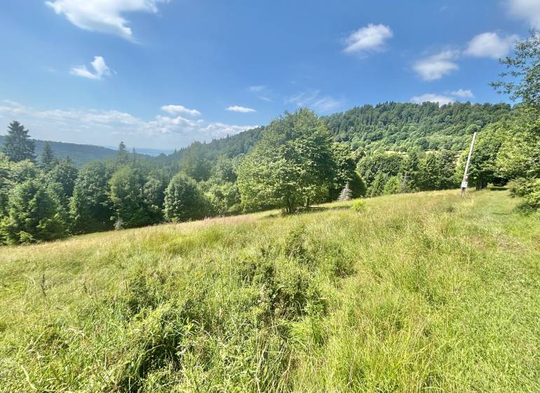 Landschaft in der Nähe des Waldes mit Blick auf die Berge in Oščadnica, Standort Dedovka, Grundstücke - Wohnen.