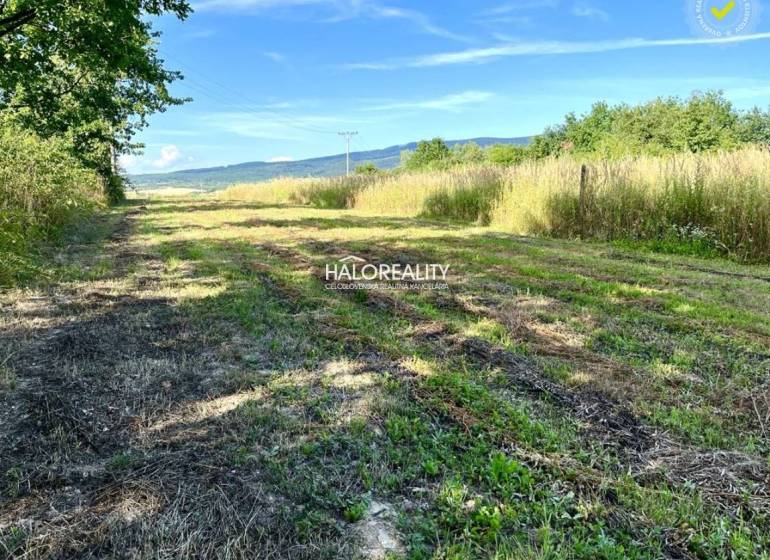 Ein grasbewachsener Weg zwischen Feldern und Bäumen in Kolibabovce, ideal für Grundstücke - Wohnen.