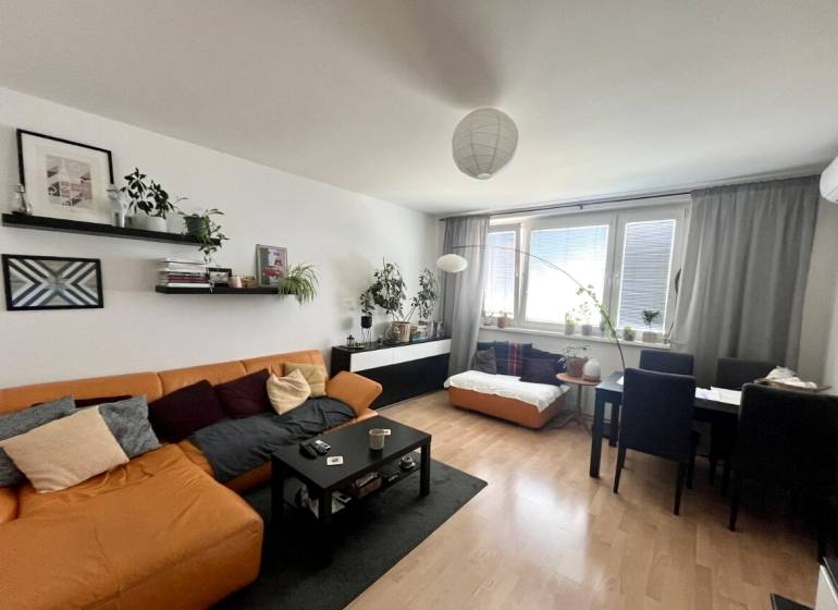 3-Zimmer-Wohnung mit bequemer Couch, Esstisch und Zimmerpflanzen.
