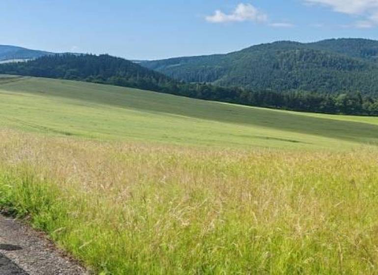 Schöne Wiesen und Felder, die sich für Grundstücke - Wohnen in Králiky eignen, grüne Landschaft am Horizont.