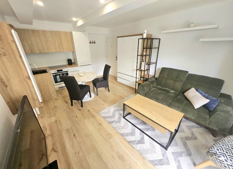 Wohnzimmer einer Einzimmerwohnung mit grauem Teppich, grünem Sofa und Holzmöbeln.