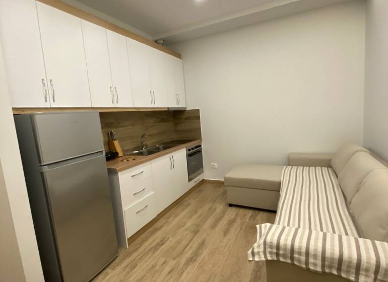 Ferienwohnung mit Küchenzeile, Kühlschrank und bequemer Couch auf Holzboden.