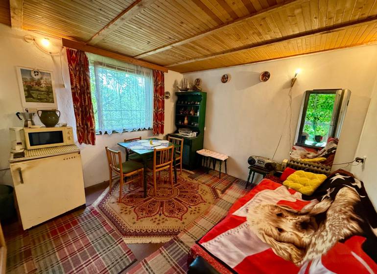In der Hütte mit der Holzdecke befinden sich ein Tisch, Stühle und ein antiker Kühlschrank.
