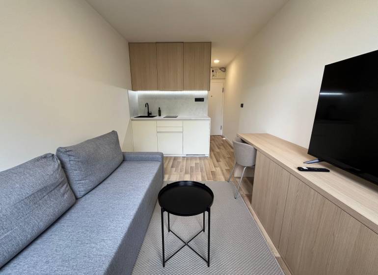 Einzimmerwohnung mit Kochnische, Sofa und Fernseher, helles Holz und graue Möbelakzente.