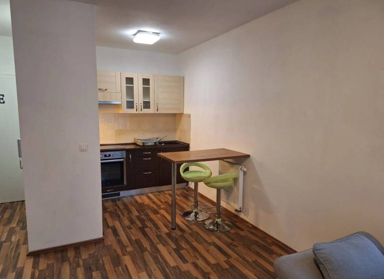 Küchenzeile mit Bartresen und Holzboden in einer 2-Zimmer-Wohnung.