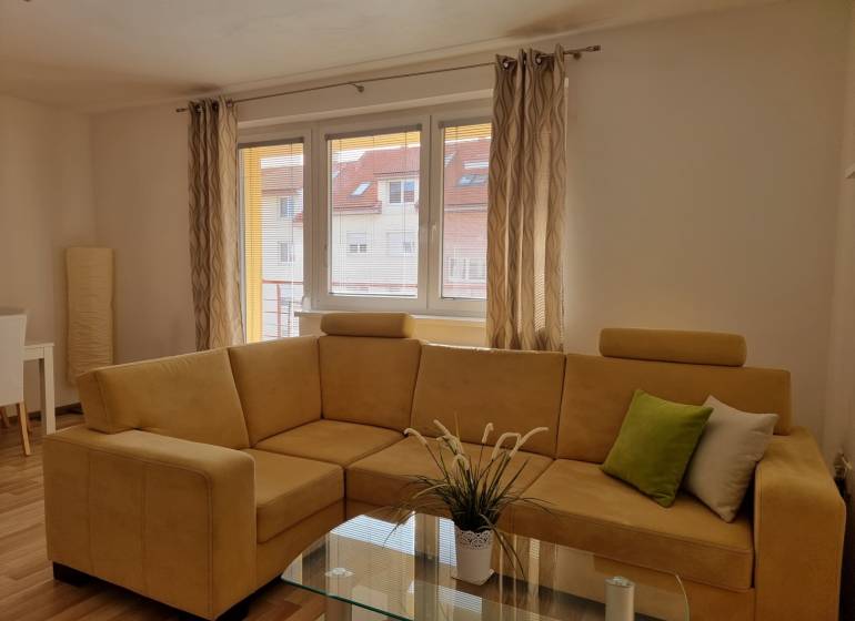 Wohnzimmer in einer Zweizimmerwohnung mit einem bequemen hellbraunen Sofa und einem Glastisch.