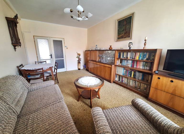 Wohnzimmer in einer 2-Zimmer-Wohnung mit Bibliothek, Sofa und Tisch mit Stühlen.