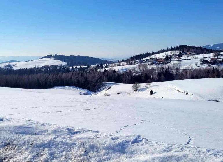 Verschneite Landschaft mit Hügeln und Wäldern, idealer Ort zum Wohnen. Grundstücke sind gut sichtbar.