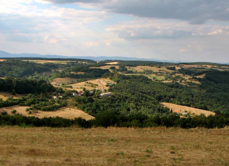 Hügelige Landschaft mit Wäldern und offenen Flächen, ideal für das Wohnen auf dem Land.