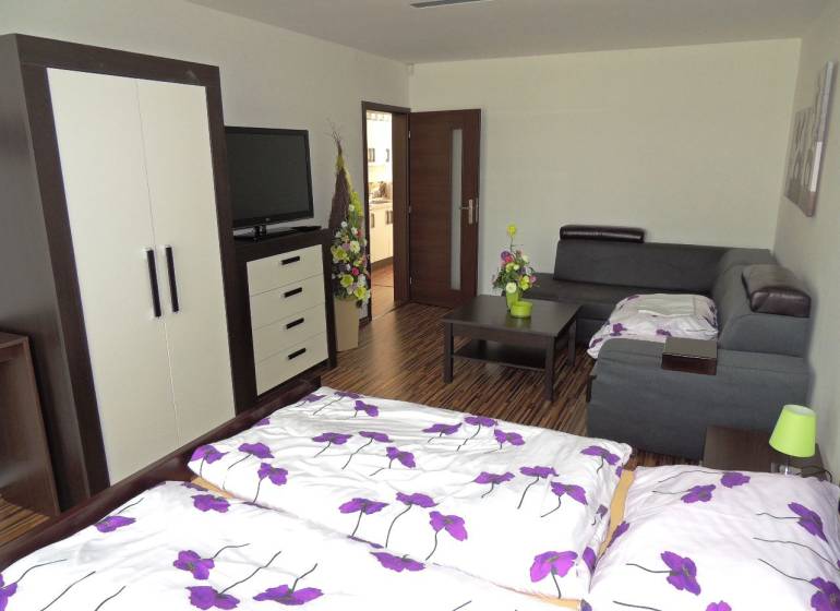 Schlafzimmer in einer 2-Zimmer-Wohnung mit Sofa, Schrank und Fernseher, Blumendekor.