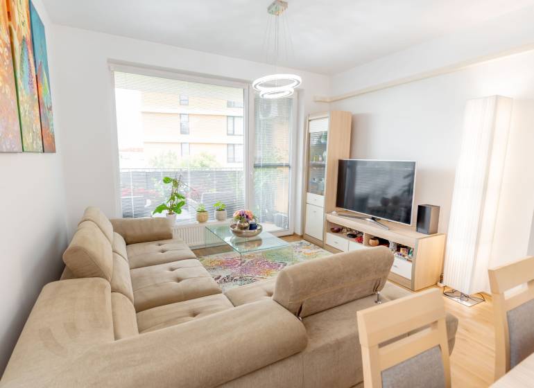 Helles Wohnzimmer einer 3-Zimmer-Wohnung mit Sofa, Fernseher, Teppich und Blumen am Fenster.