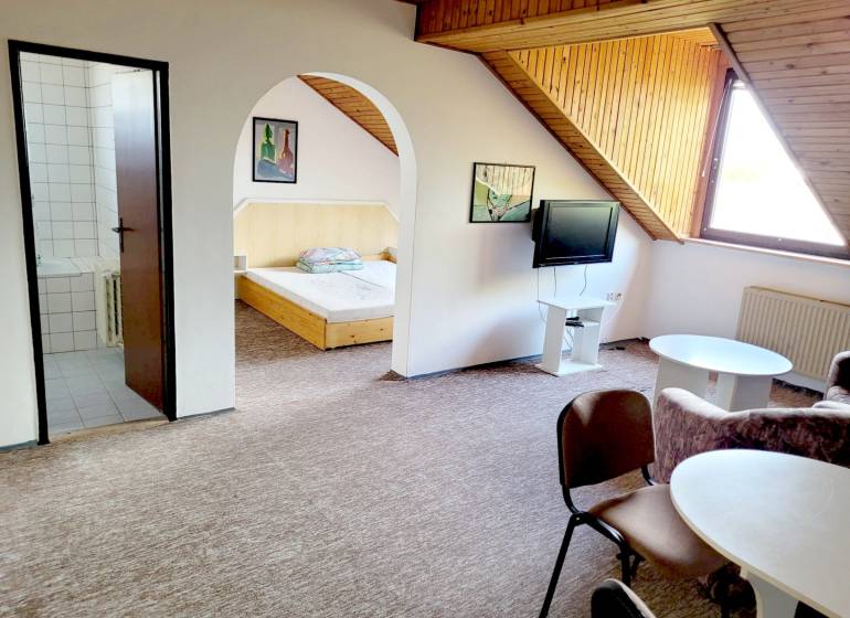 Dachgeschosswohnung mit 2 Zimmern, Fernseher, Tisch, Sesseln und Zugang zum Schlafzimmer.