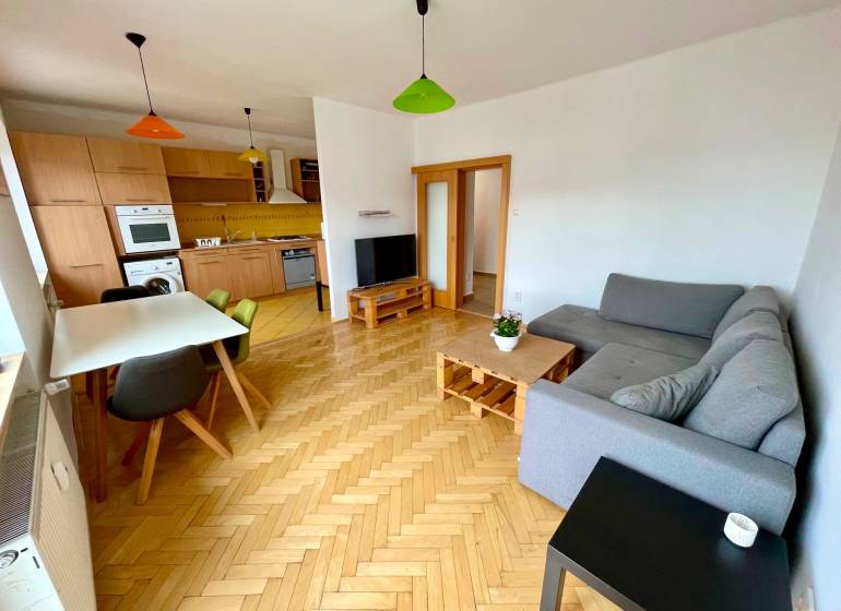 Wohnzimmer mit Küche, Esstisch, Sofa, Parkettboden in einer Zweizimmerwohnung.