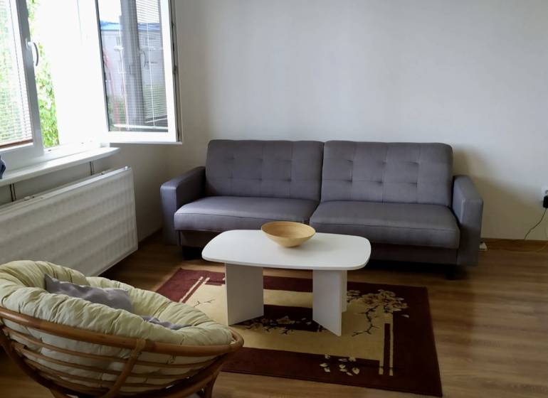 Heller Wohnraum in einer Einzimmerwohnung mit beigem Sessel und grauem Sofa.