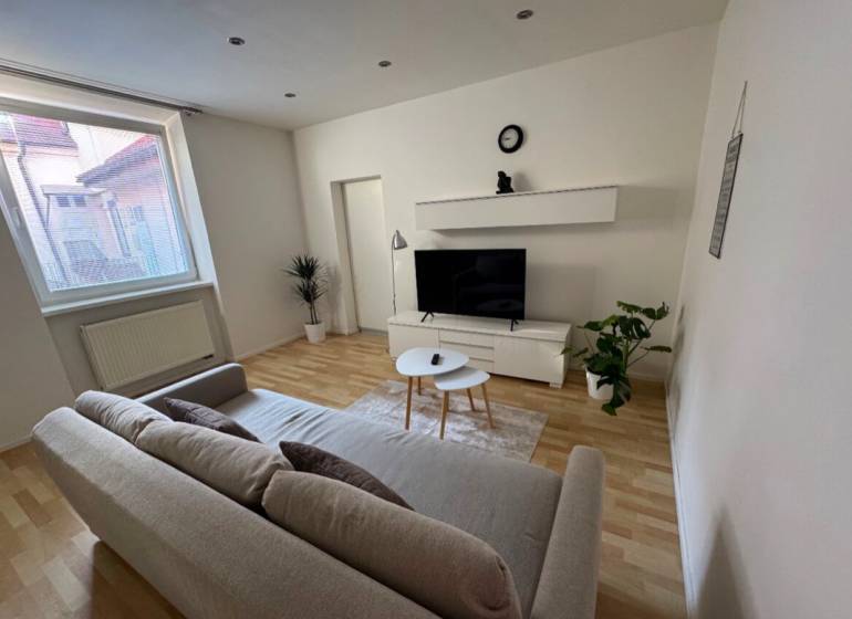 Wohnzimmer in einer Zweizimmerwohnung mit Sofa, Fernseher und Pflanzen auf Parkettboden.