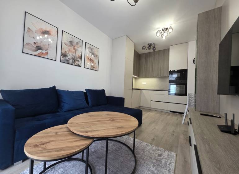 Wohnzimmer und Küche in einer 2-Zimmer-Wohnung mit einem blauen Sofa und Holztischen.