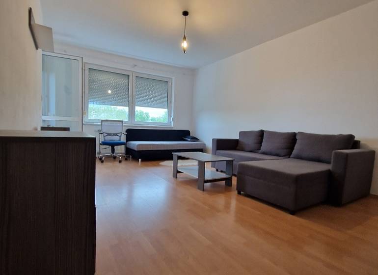 Wohnzimmer mit Sofa und Couchtisch in einer 2-Zimmer-Wohnung.