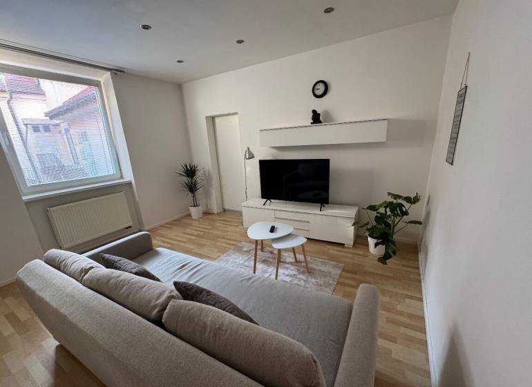 Wohnzimmer mit Sofa und Fernseher, helle Wände und Holzboden, 2-Zimmer-Wohnung.