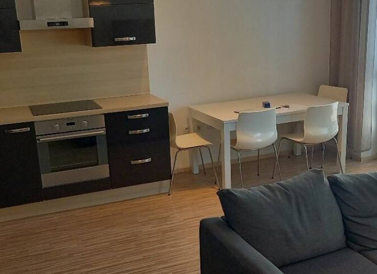 Küche und Wohnzimmer in einer 2-Zimmer-Wohnung mit moderner Küchenzeile und Esstisch.