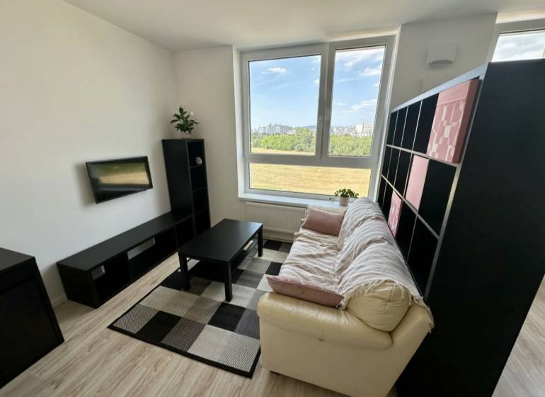 Wohnzimmer in einer 2-Zimmer-Wohnung mit Sofa, Fernseher und Holzboden.