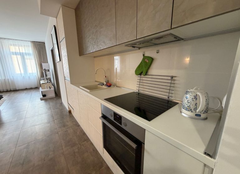 Küche mit Einbauküche, Kochfeld und Spüle in einer 2-Zimmer-Wohnung.