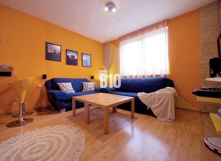 Wohnzimmer in einer 2-Zimmer-Wohnung mit einer orangefarbenen Wand, einem blauen Sofa und einem Boden in Holzoptik.