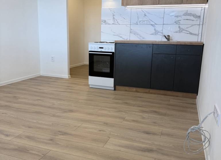 Einzimmerwohnung mit Küchenzeile, Herd und Boden in Holzoptik.