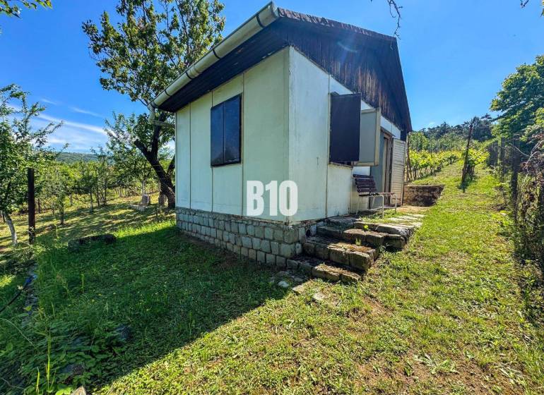 Eine Holzhütte mitten in den Weinbergen von Nitra, umgeben von Grün und Bäumen.