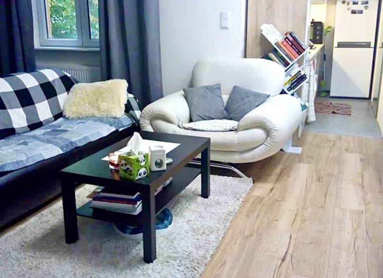 Wohnzimmer in einer Einzimmerwohnung mit Holzboden und bequemen Sitzgelegenheiten.