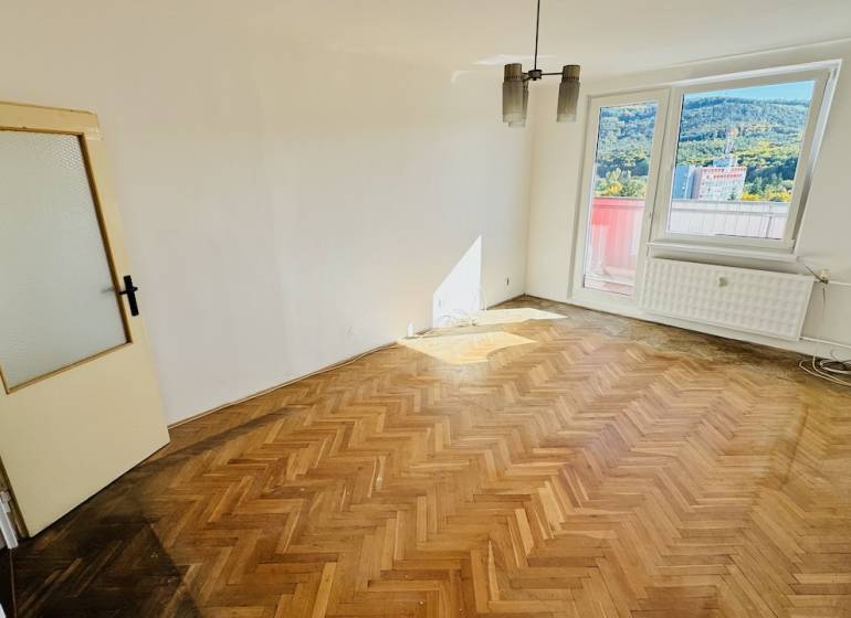 Ein Zimmer mit Holzboden in einer Einzimmerwohnung, großes Fenster, Tür mit Verglasung.