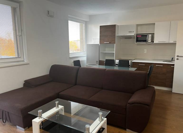 Wohnzimmer mit Küchenzeile, braunem Sofa und Holzboden in einer 2-Zimmer-Wohnung.