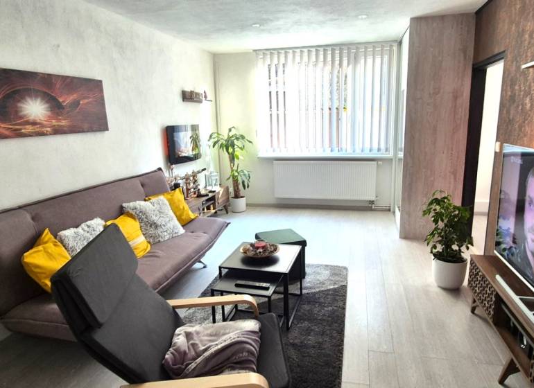 Wohnzimmer in einer 2-Zimmer-Wohnung mit Sofa, Sessel und Holzboden.