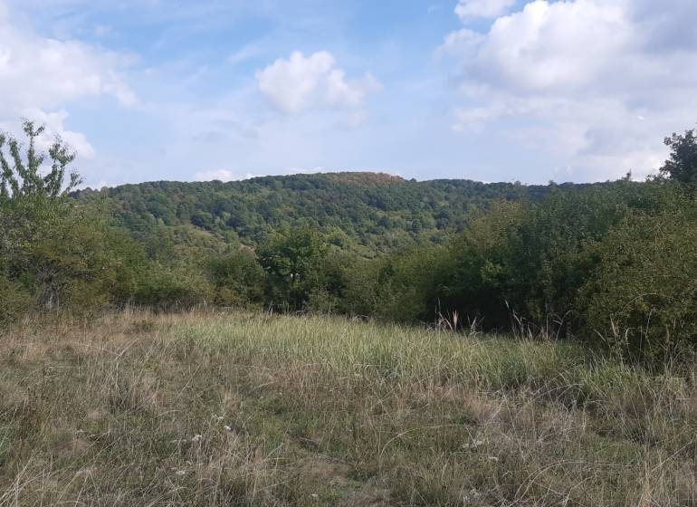 Landschaft mit Grasbewuchs und Bäumen in den Erholungsgebieten, Horné Jabloňovce, Jabloňovce.