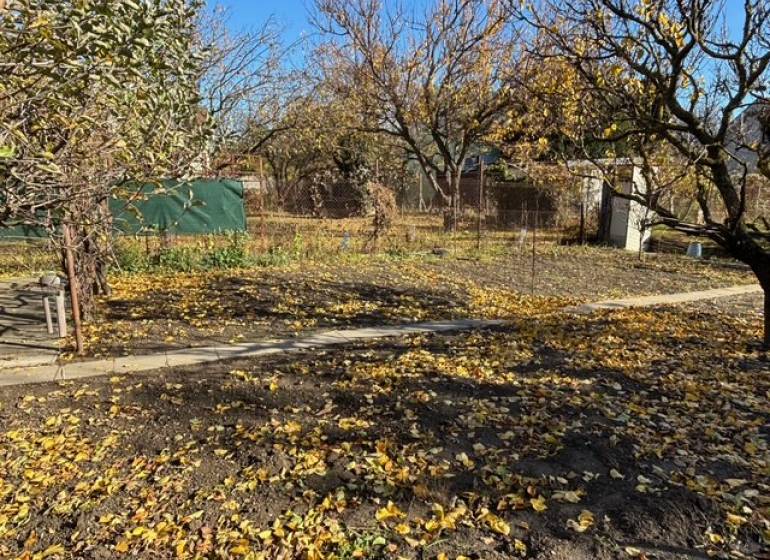 Herbstgarten in Bratislava - Ružinov, Mittel, mit gefallenem Laub und Bäumen.